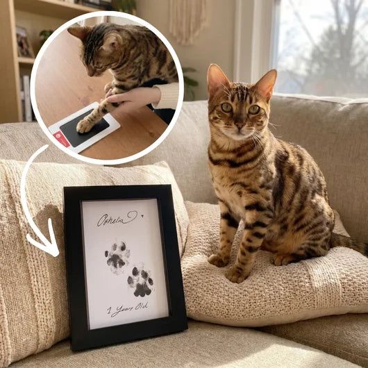 Pet Paw Print Ink Pad Kit